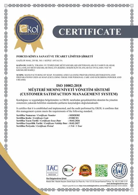 ISO 10002:2018 belgesinin taranmış kopyası