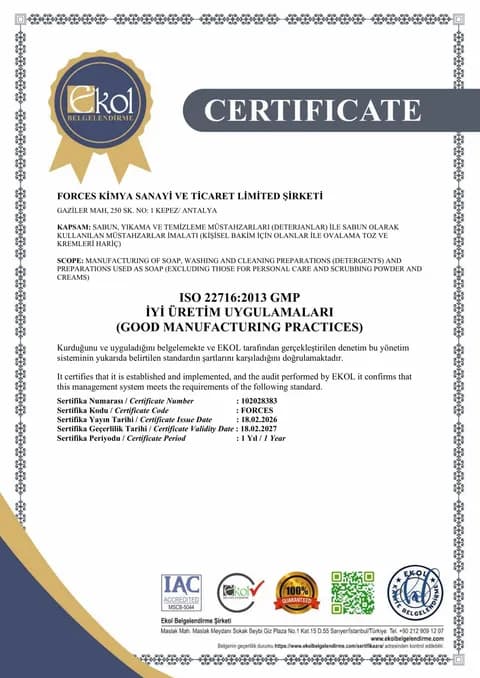 ISO 22716:2013 belgesinin taranmış kopyası